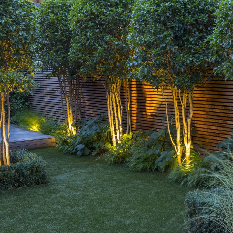 Деревья на участке в ландшафте