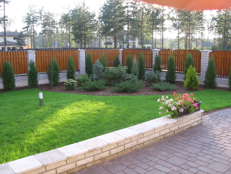 Озеленение вдоль забора