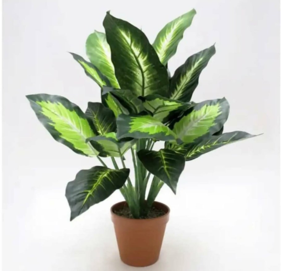 Искусственная Диффенбахия