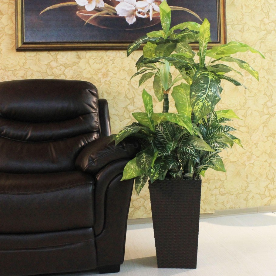 Диффенбахия Тропик Сноу