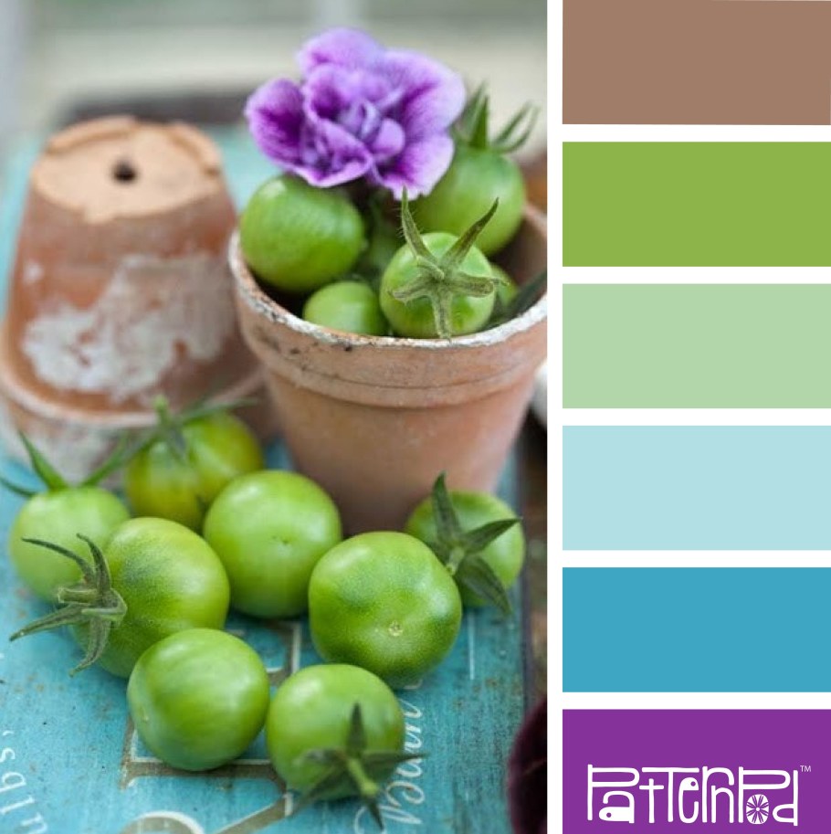 Салатовый цвет сочетание