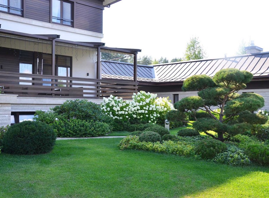 Сады Аркадия Гарден