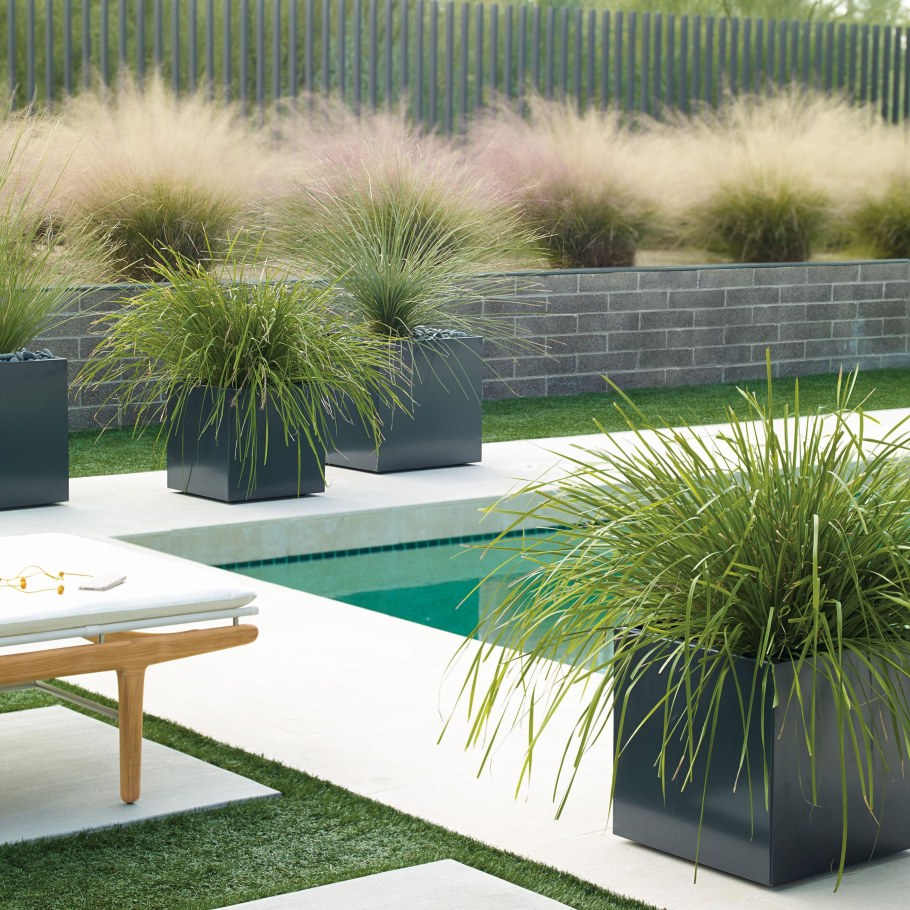 Современный ландшафт