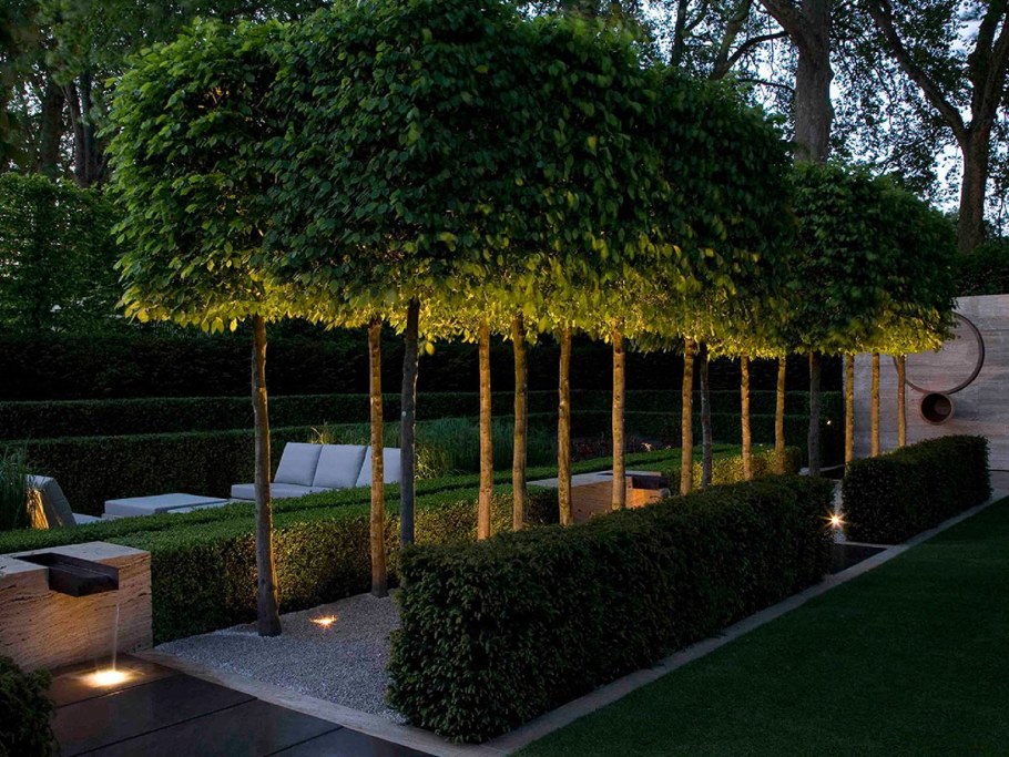 Сад Luciano Giubbilei