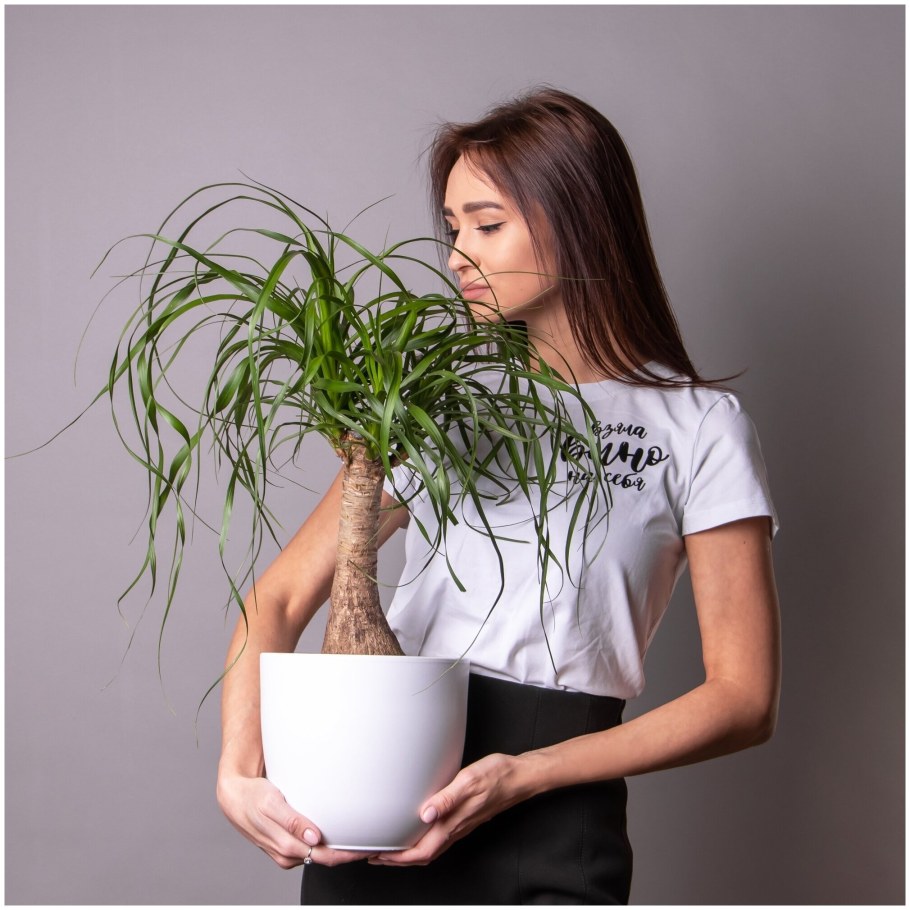 Ваза белая матовая Нолина