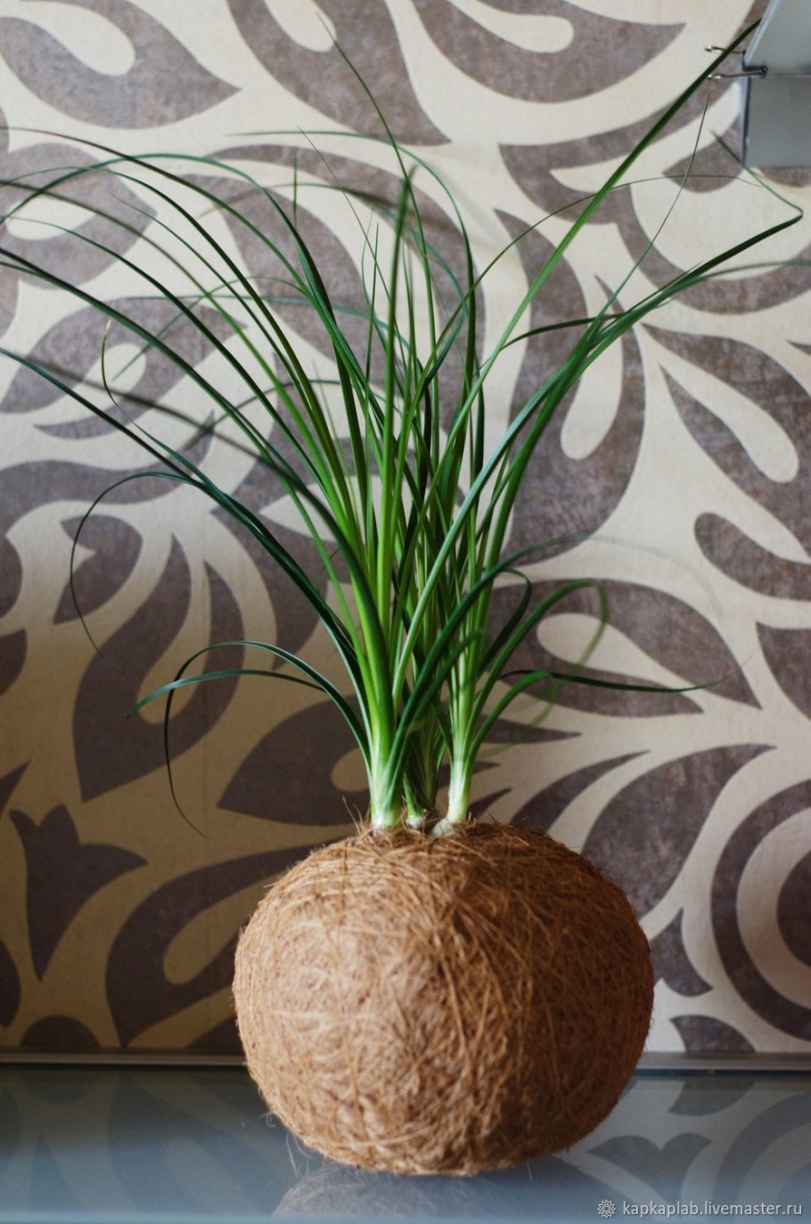 Кокедама из кокосового волокна