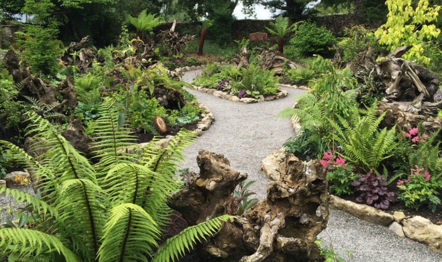 Сад коряг и пней