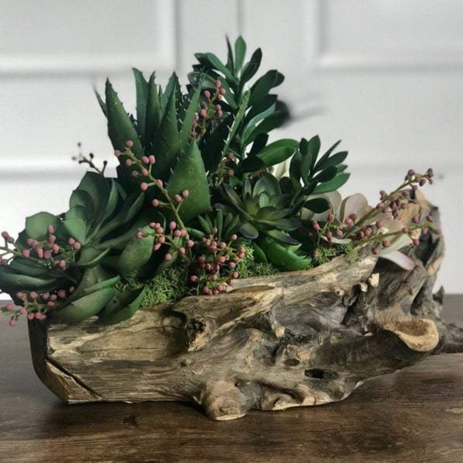 Рутарий с суккулентами