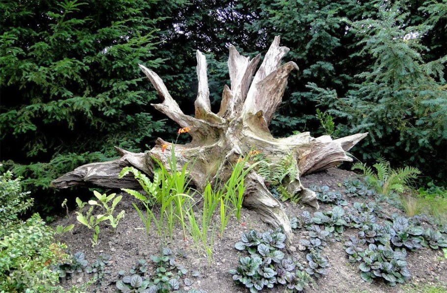 Рутарий водопад