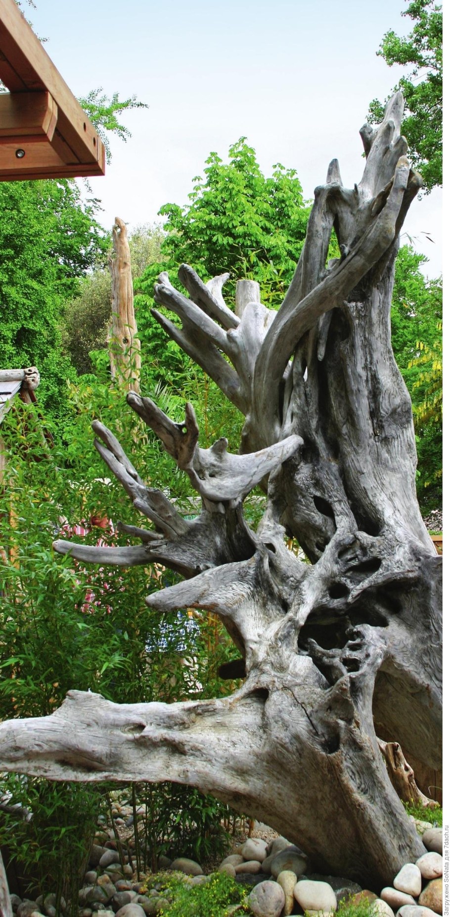 Рутарий на даче