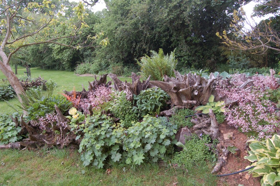 Композиции с корягами в саду