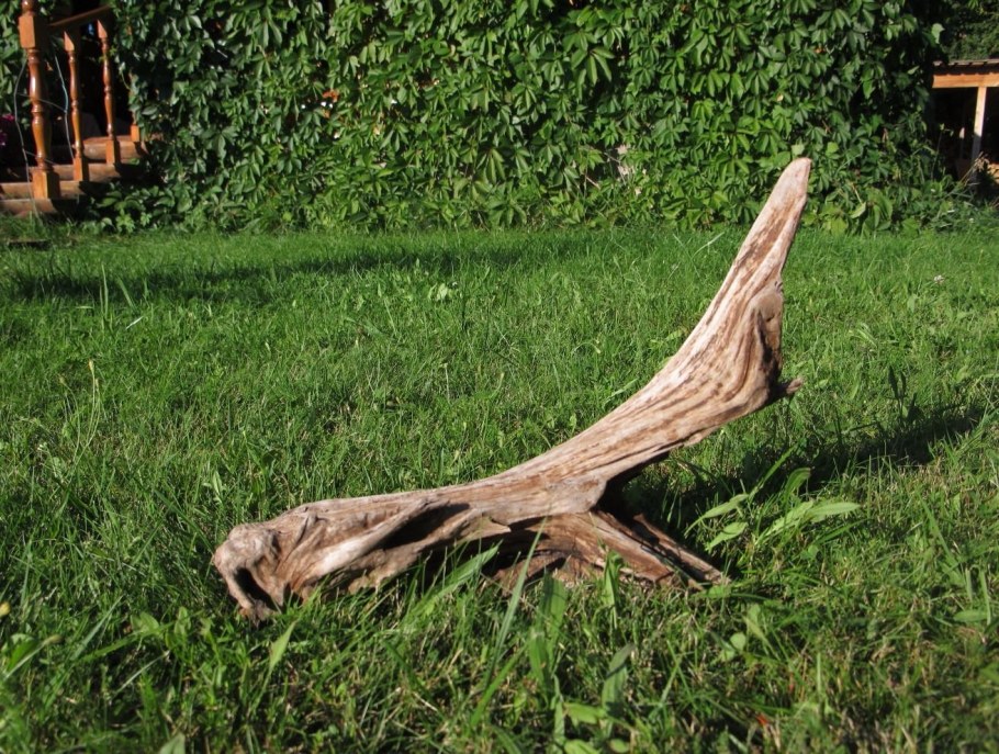 Коряги на даче