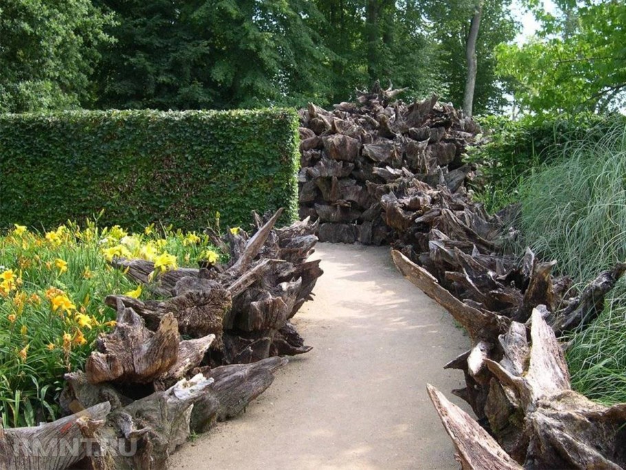 Сад коряг рутарий