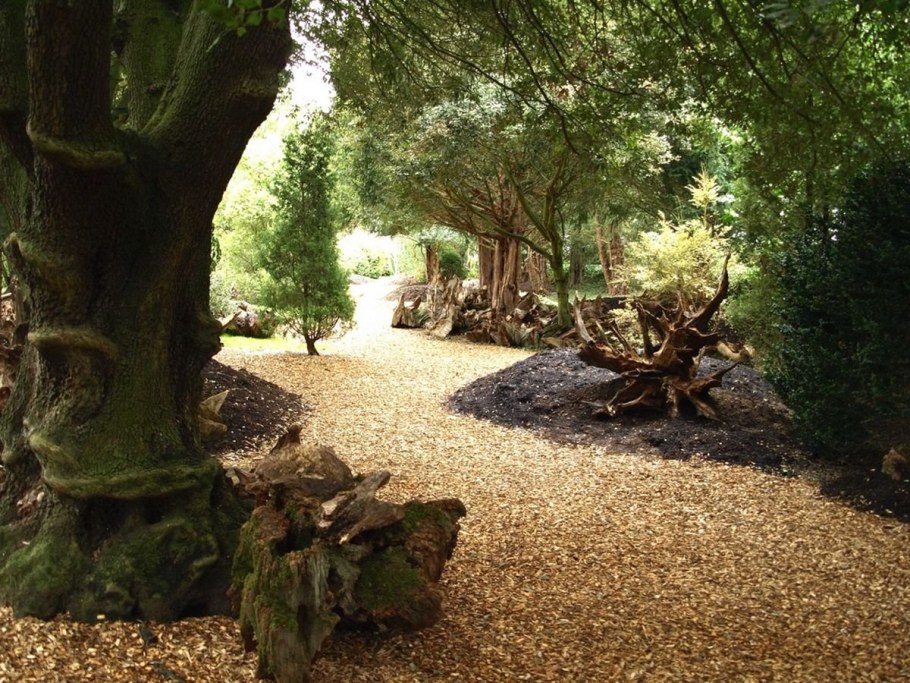 Рутарий в ландшафтном