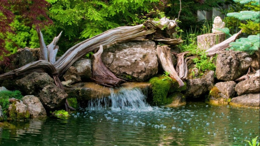 Экостиль в ландшафтном дизайне водоем