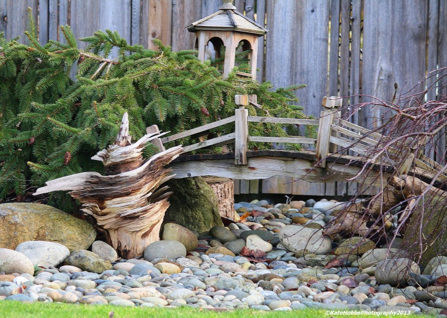 Фитодизайн рутарий