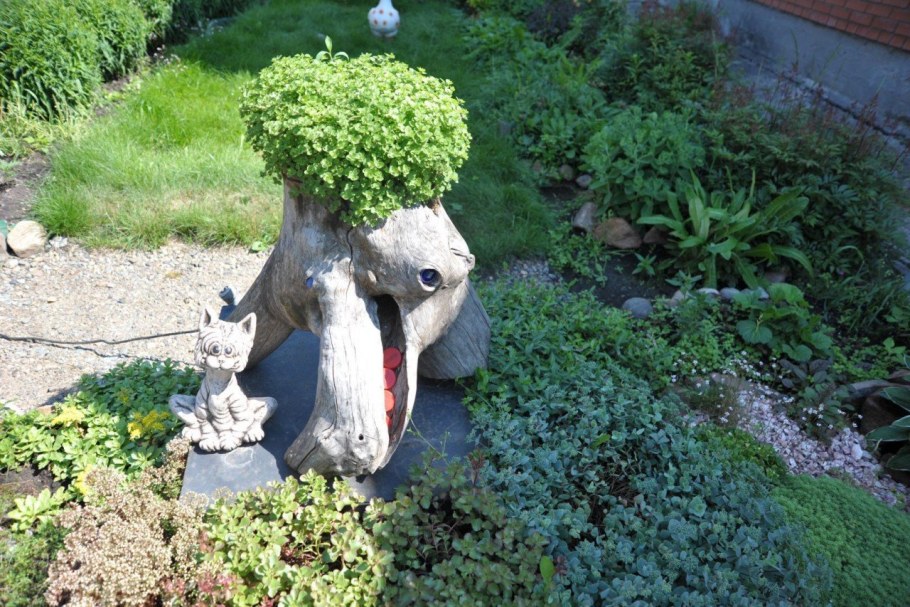 Рутарий сад корней