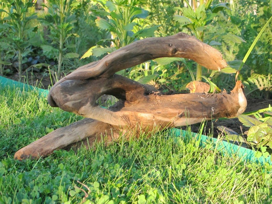 Коряги в саду
