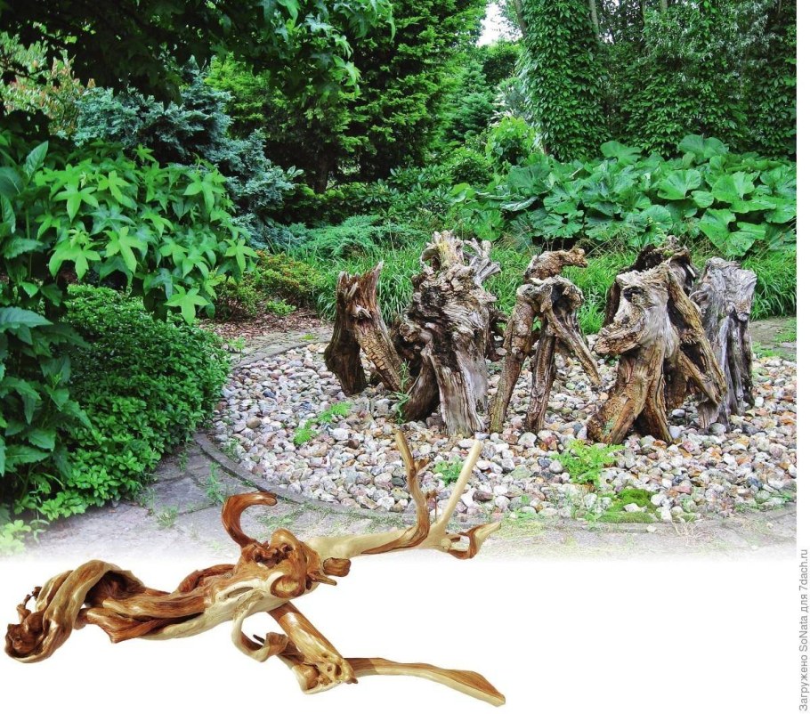 Коряга в ландшафте