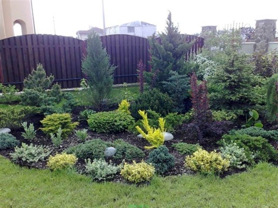 Туя Смарагд голубая ель миксбордер