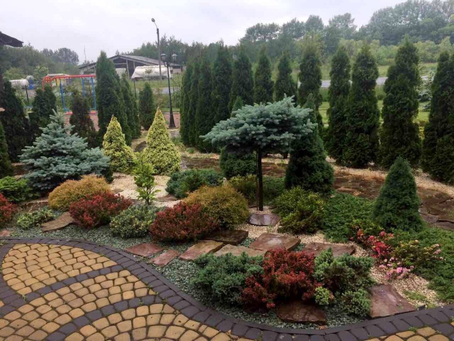 Ель Коника, можжевельник, спирея