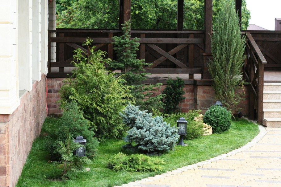 Миксбордер с туями и можжевельником