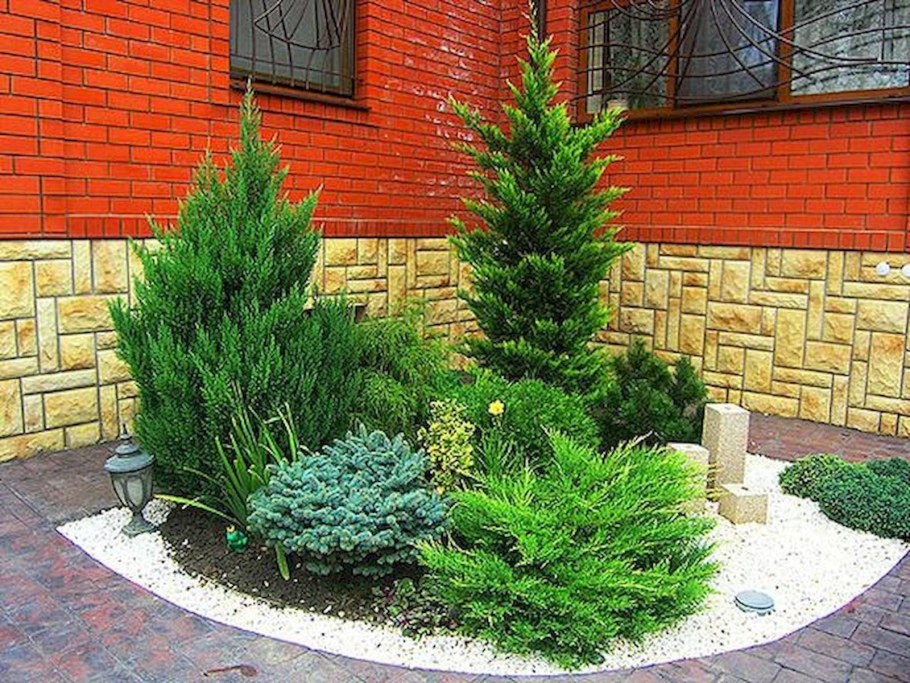 Клумба хвойники туя можжевельник