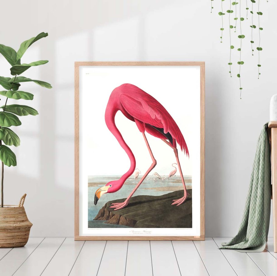 Интерьерные постеры с птицами