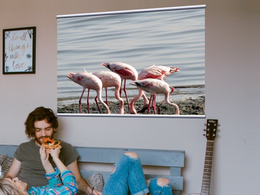 Фламинго на холсте