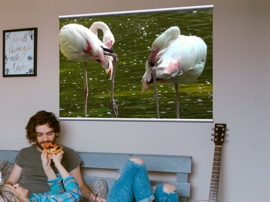 79680757263 Наталья Витина картина на холсте Фламинго