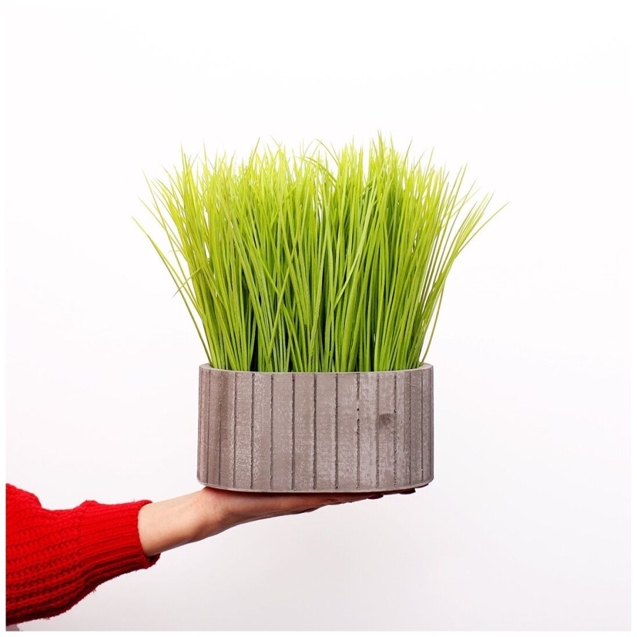Искусственная Осока в кашпо