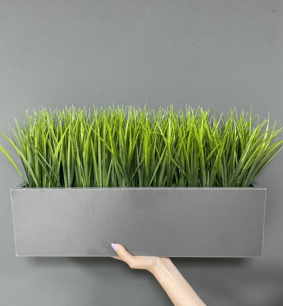 Декор офиса трава Осока в интерьере