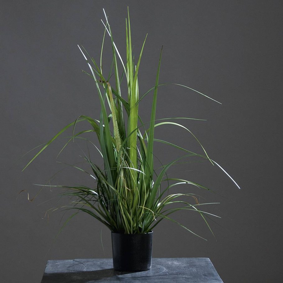 Искусственная Осока