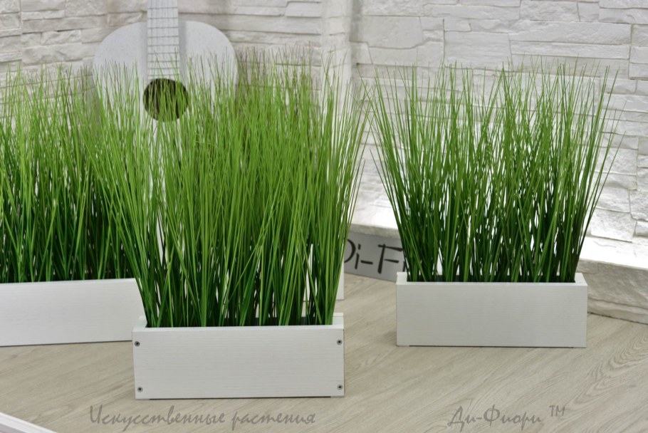 Зеленая травка в горшках для интерьера