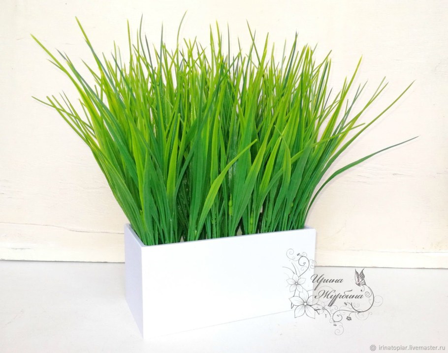 Осока трава декоративная