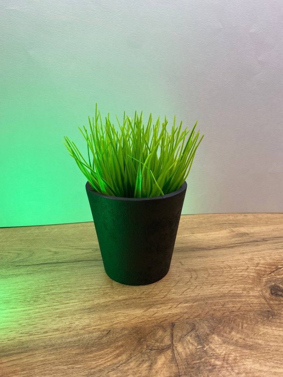 Газон в горшке для декора