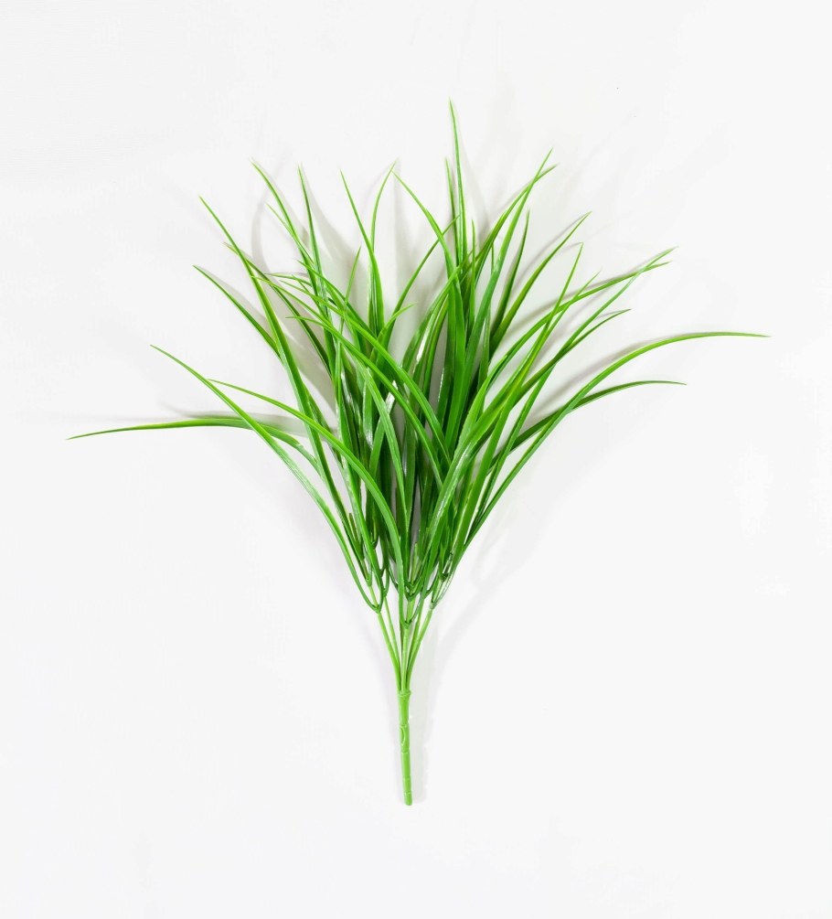 Осока Морроу