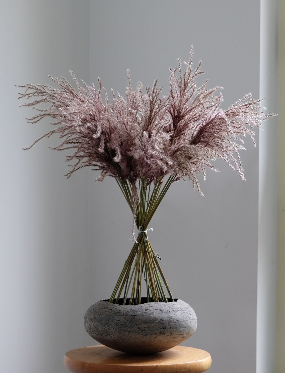 Эриантус сухоцвет