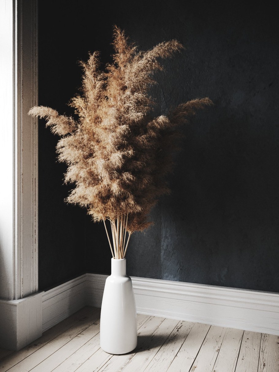 Пампас Грасс