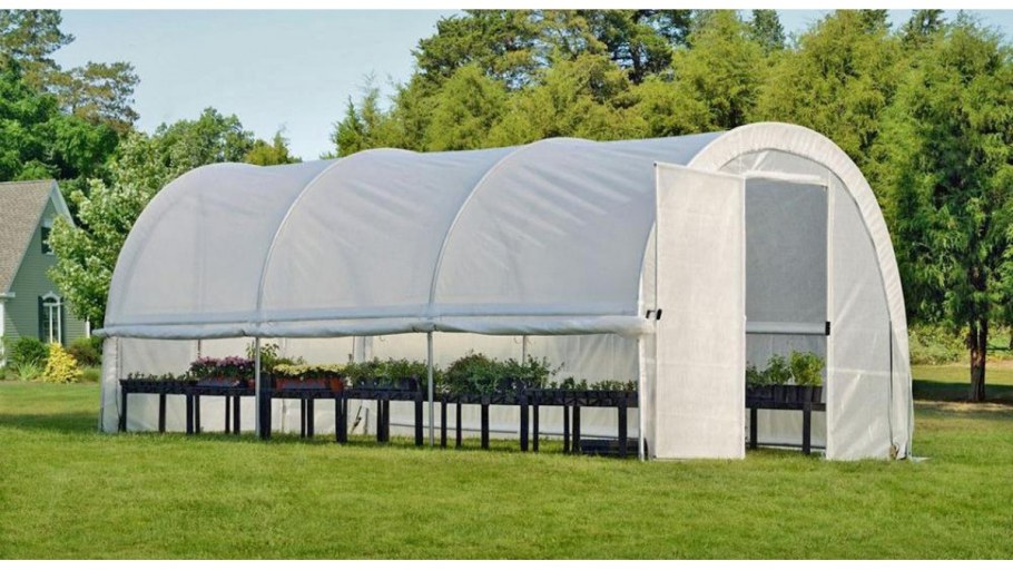 Круглая теплица