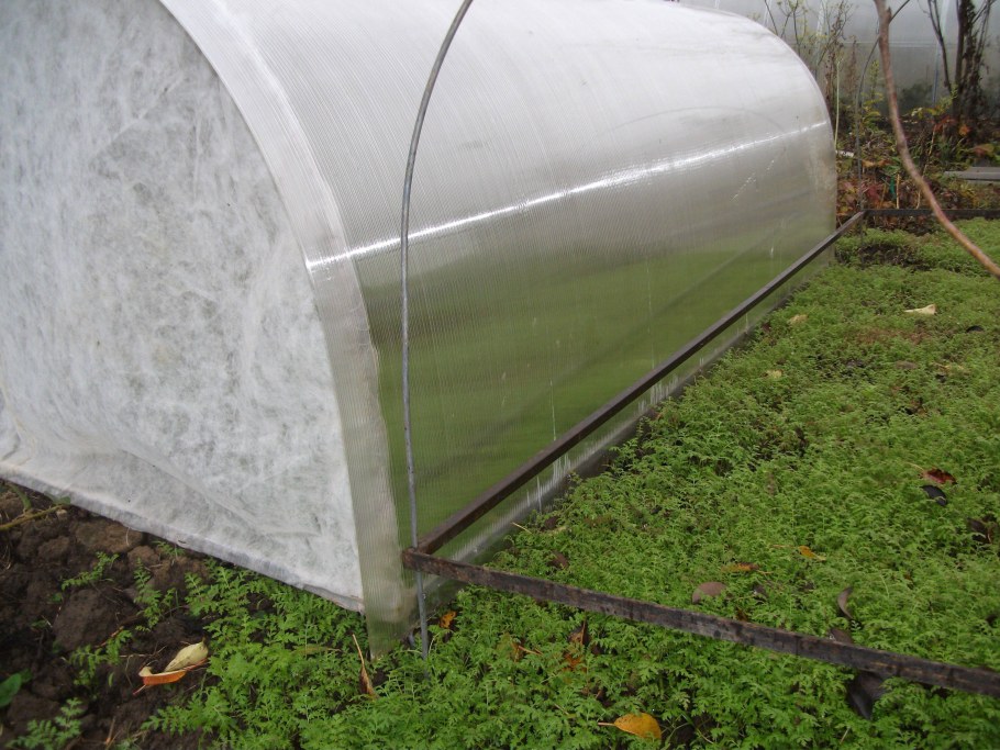 Теплица из пленки