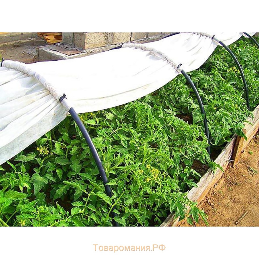 Парник агроном (6 секций, 6 м)