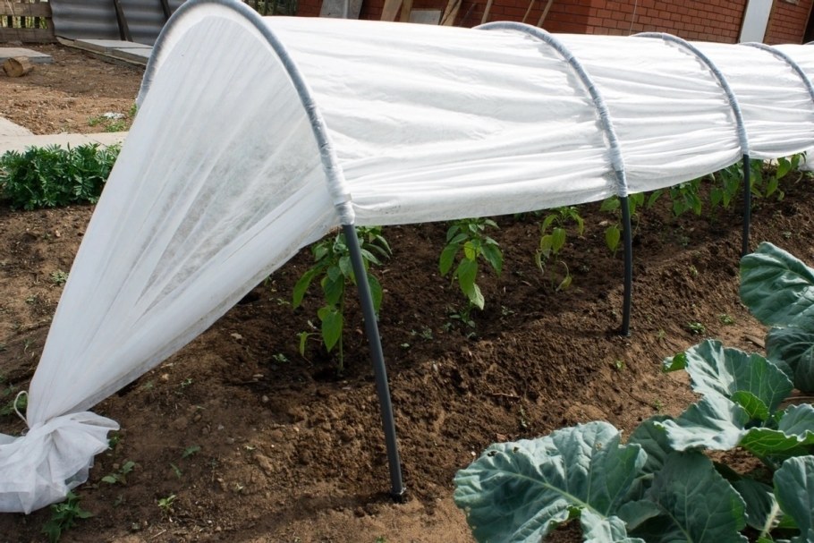 Парник "Фазенда Люкс" 6 м