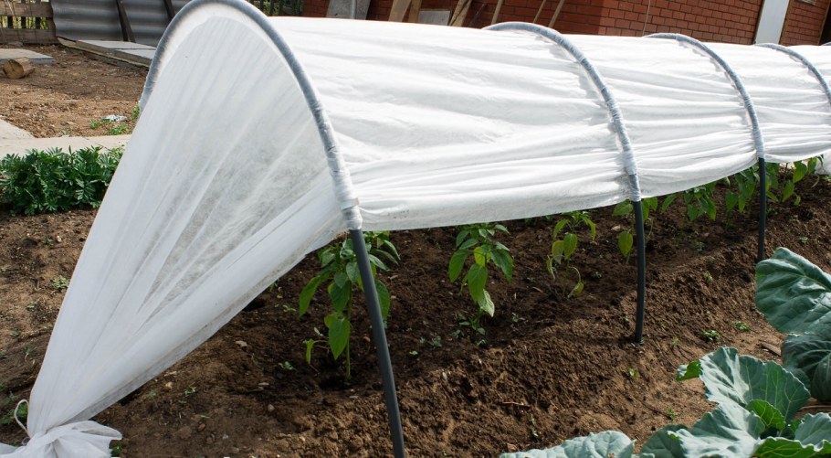 Парник Агротекс 4м