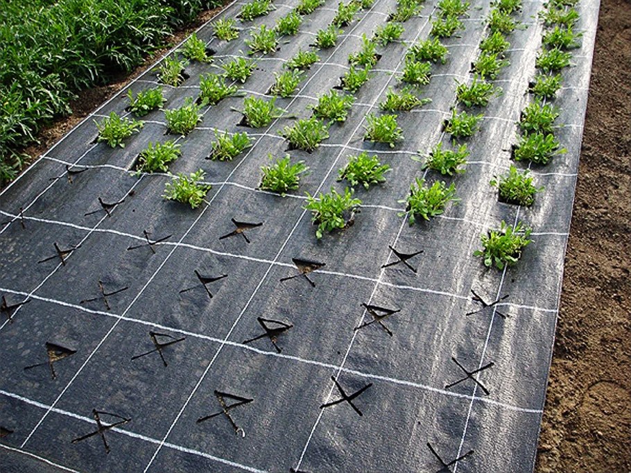 Мульчирующая агроткань 150 мкм