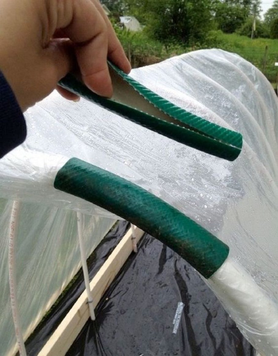 Пленка для парников