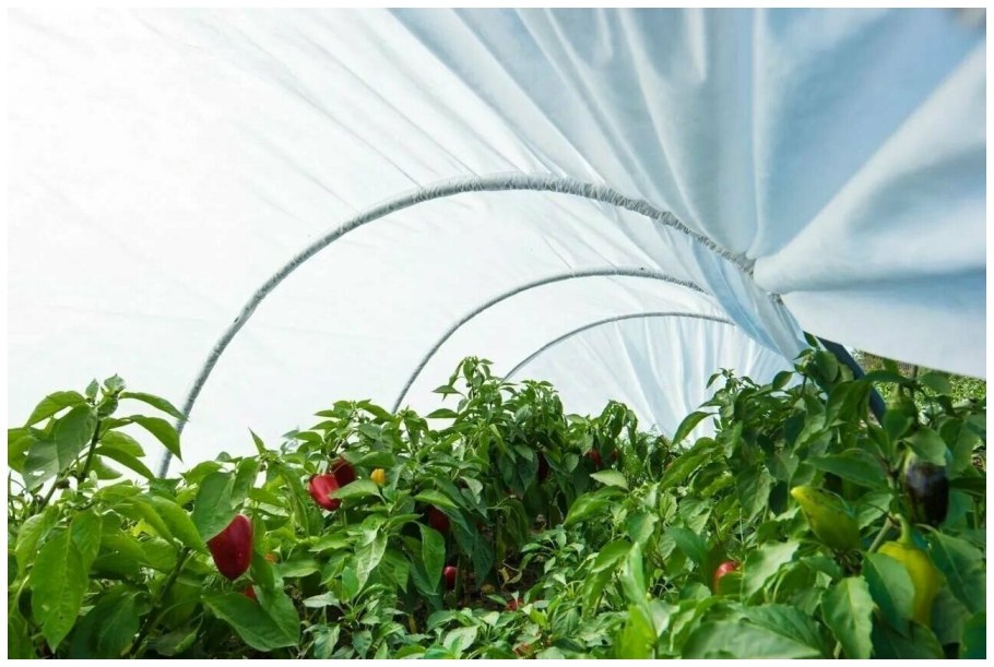 Парник "богатый урожай" 8м (дуги - 9шт, укрывной материал - 10м)