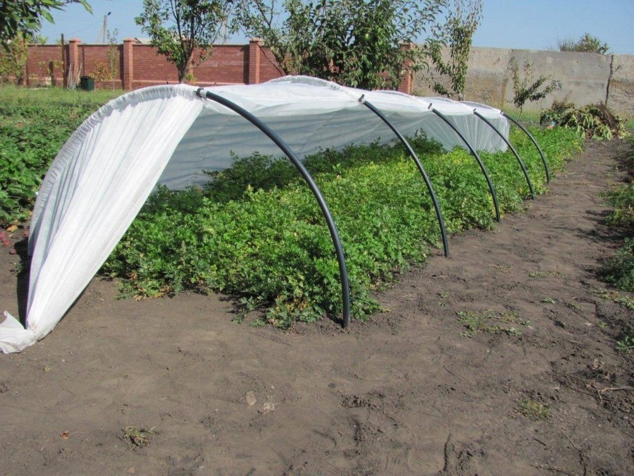 Парник «Подснежник» 3 м