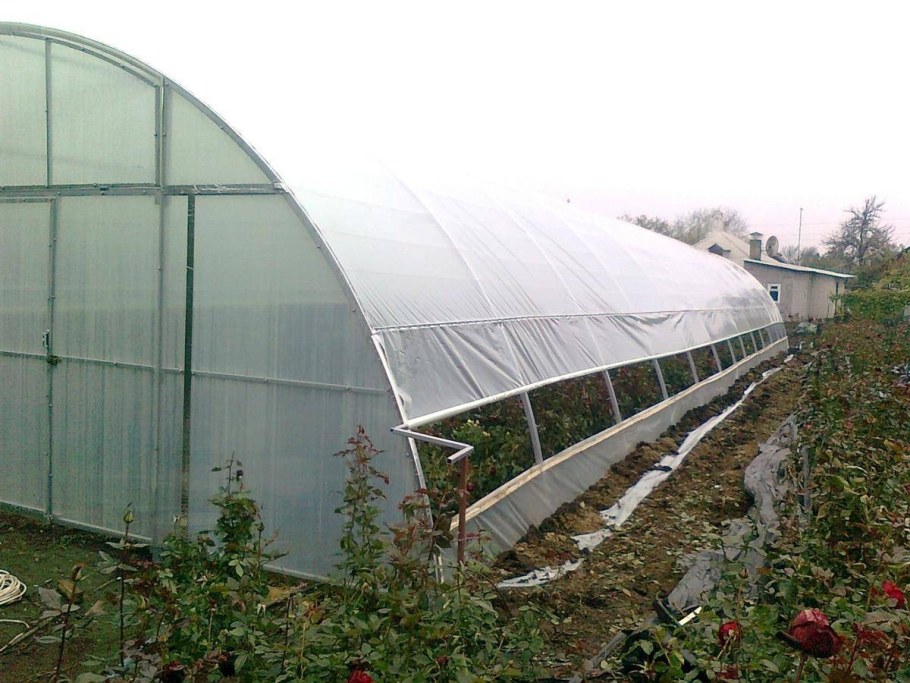 Промышленные теплицы