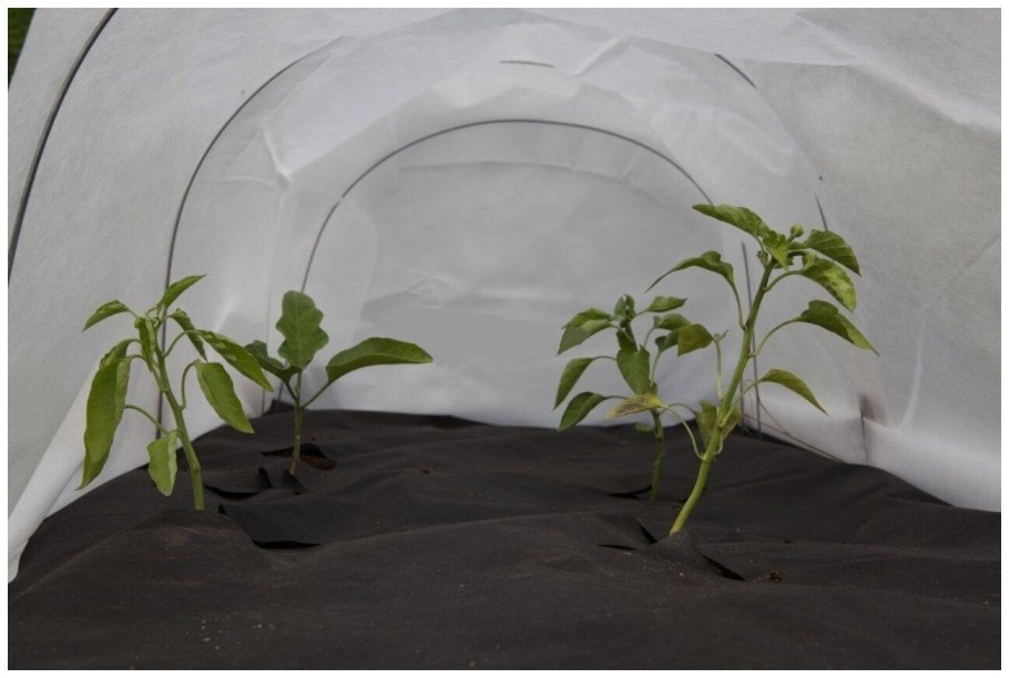 Агротекс грядка спанбонд